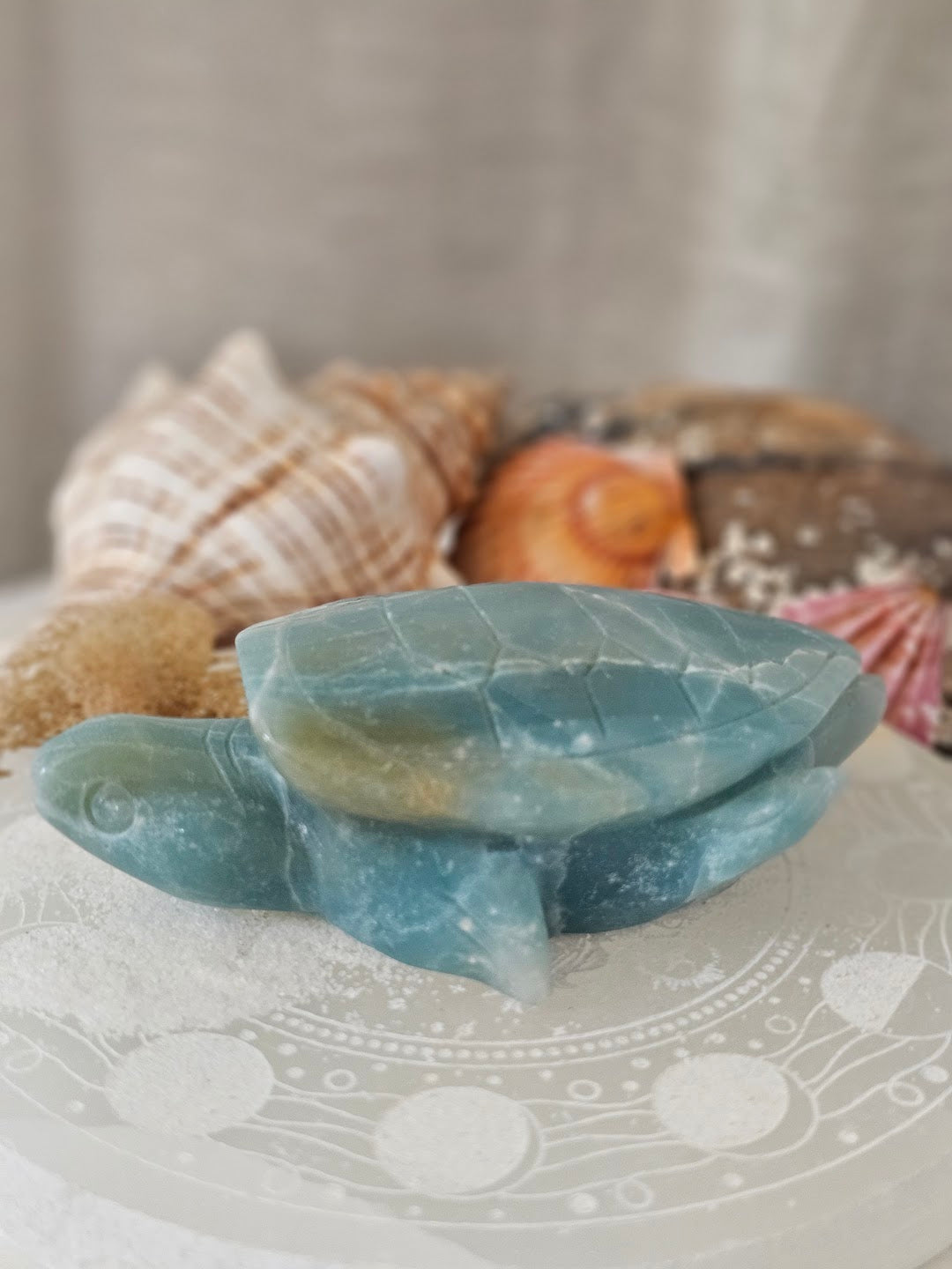 Caribbean Calcite Sea Turtles