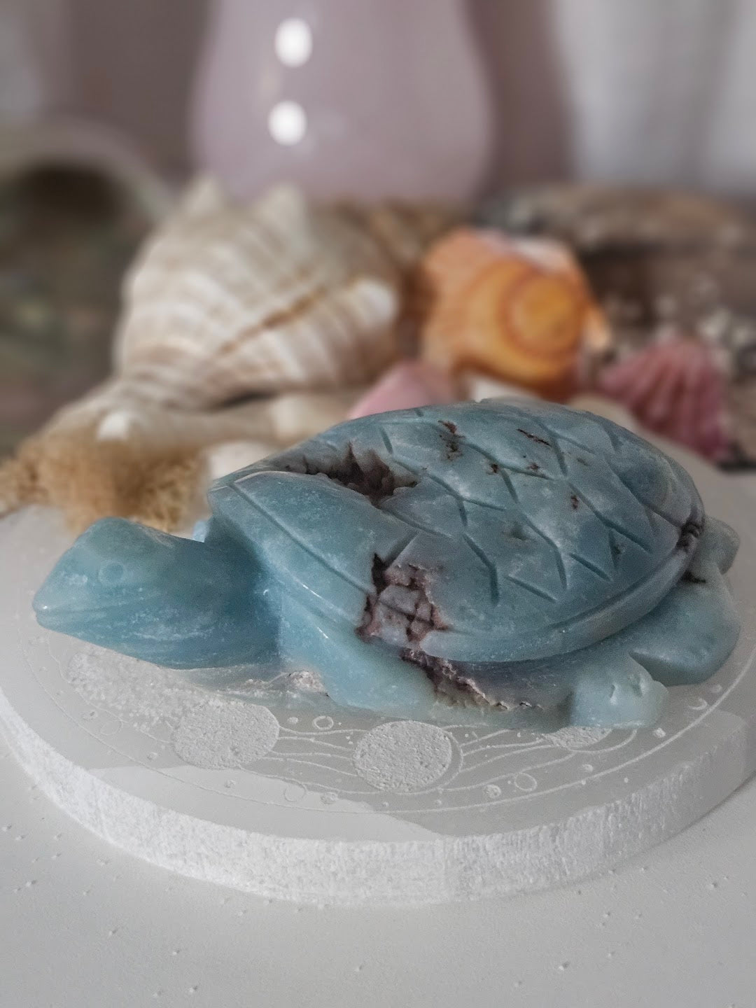 Caribbean Calcite Sea Turtles