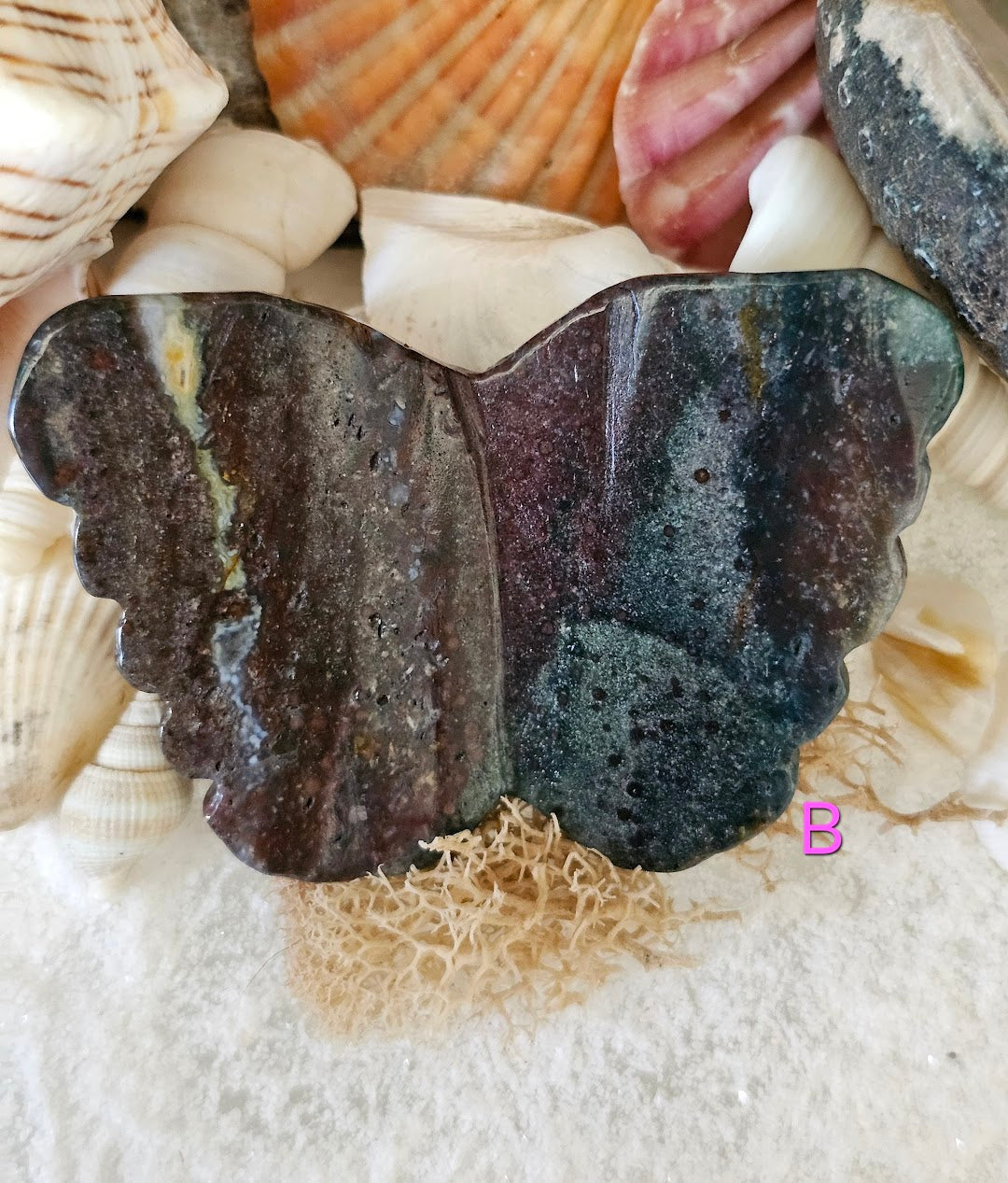 Ocean Jasper Butterfly