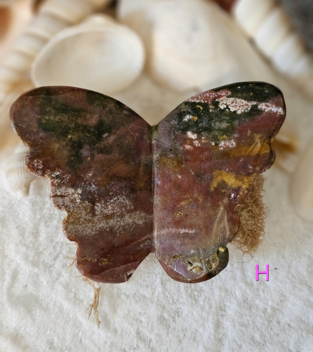 Ocean Jasper Butterfly