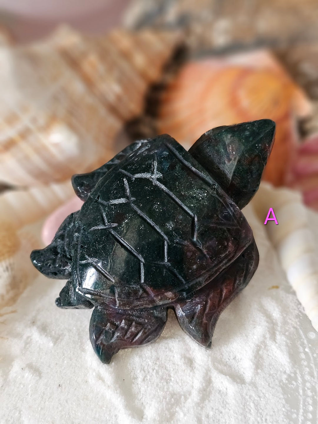 Sea Turtle Collection