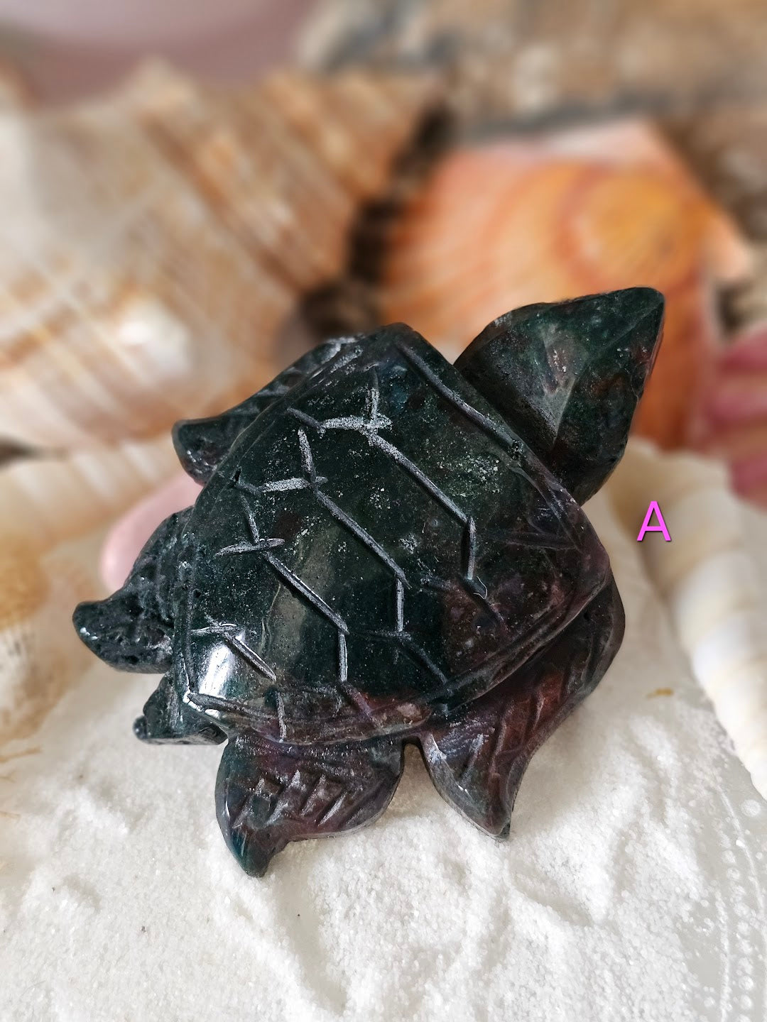 Sea Turtle Collection