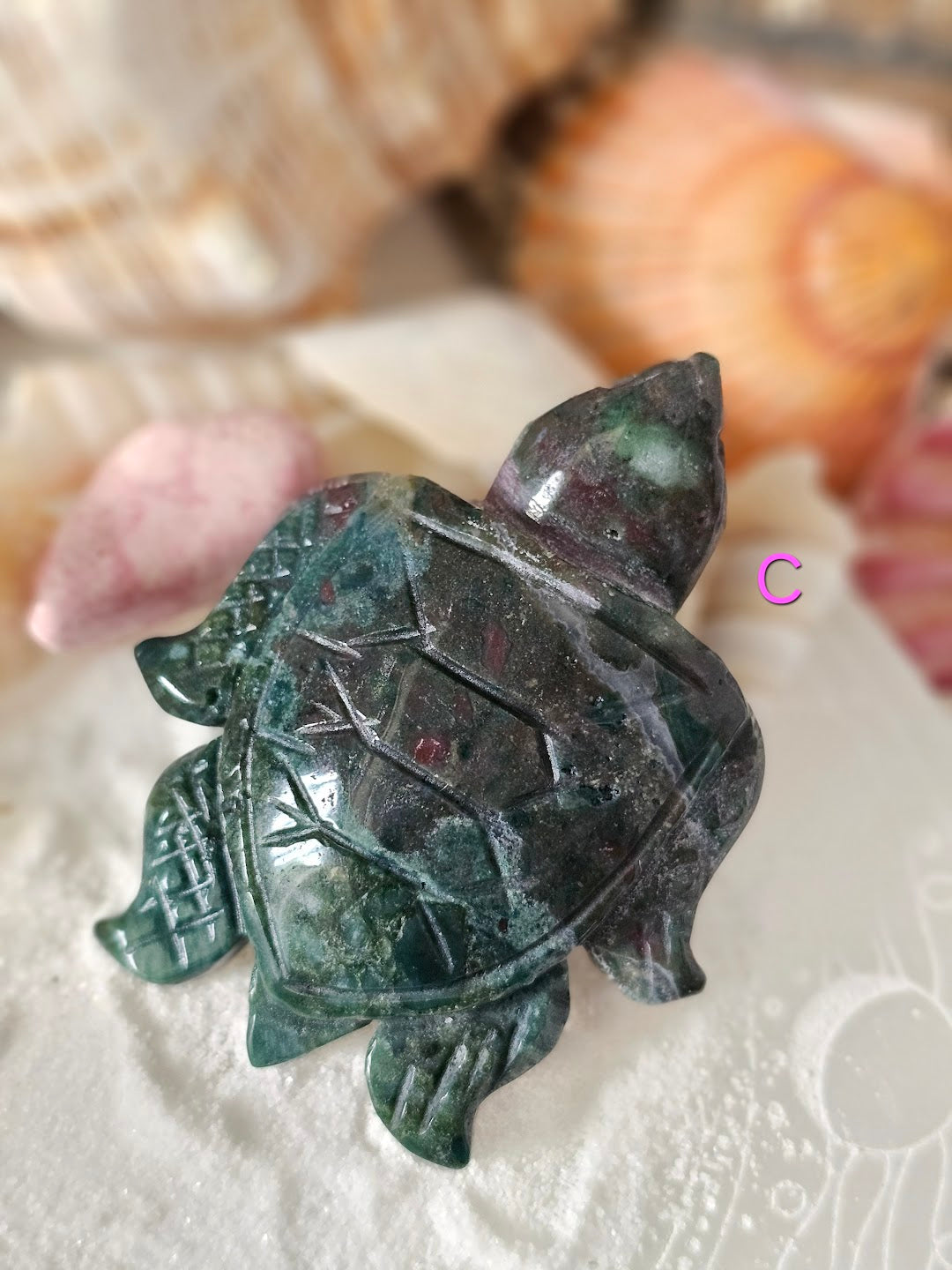 Sea Turtle Collection