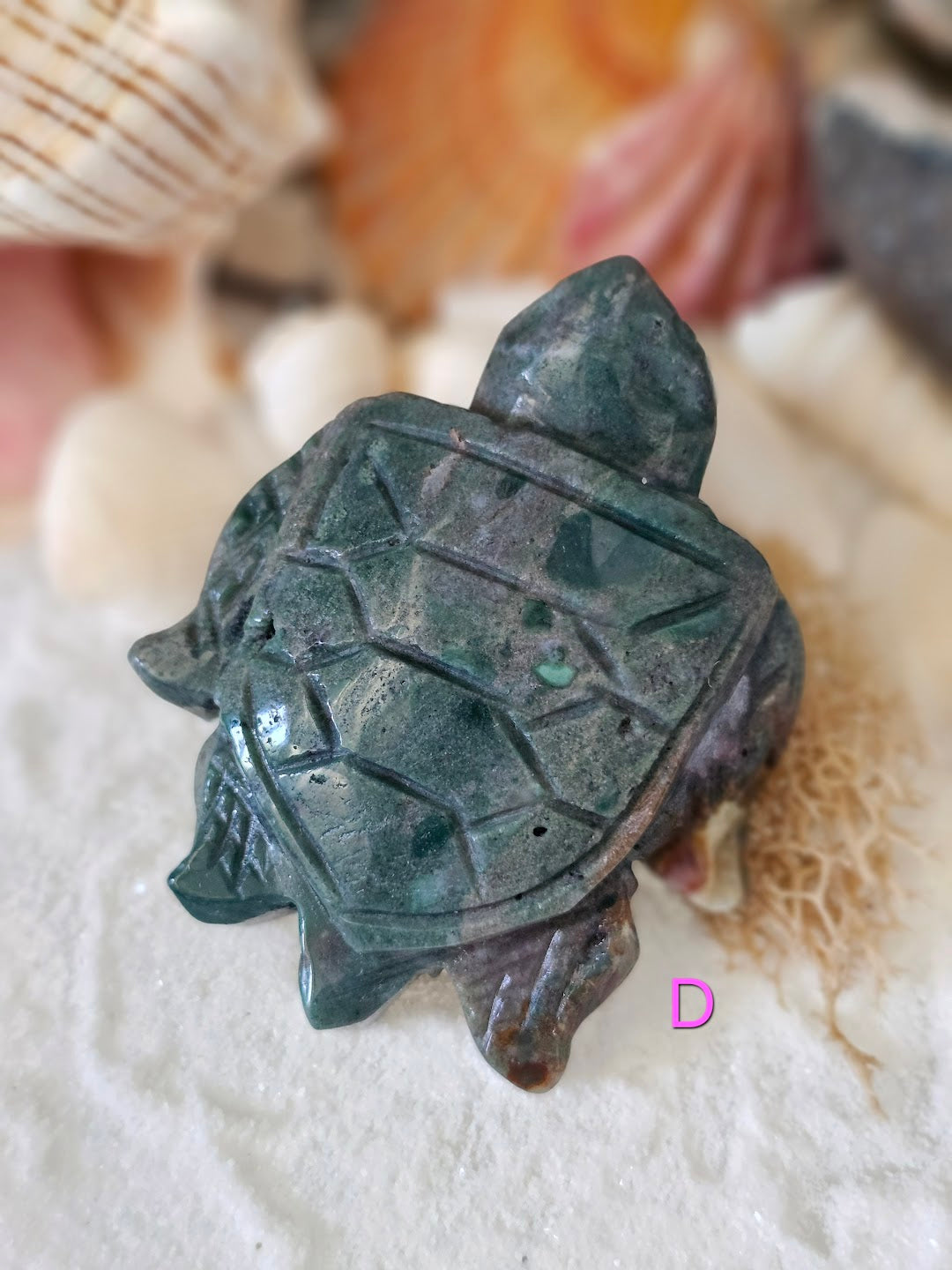Sea Turtle Collection