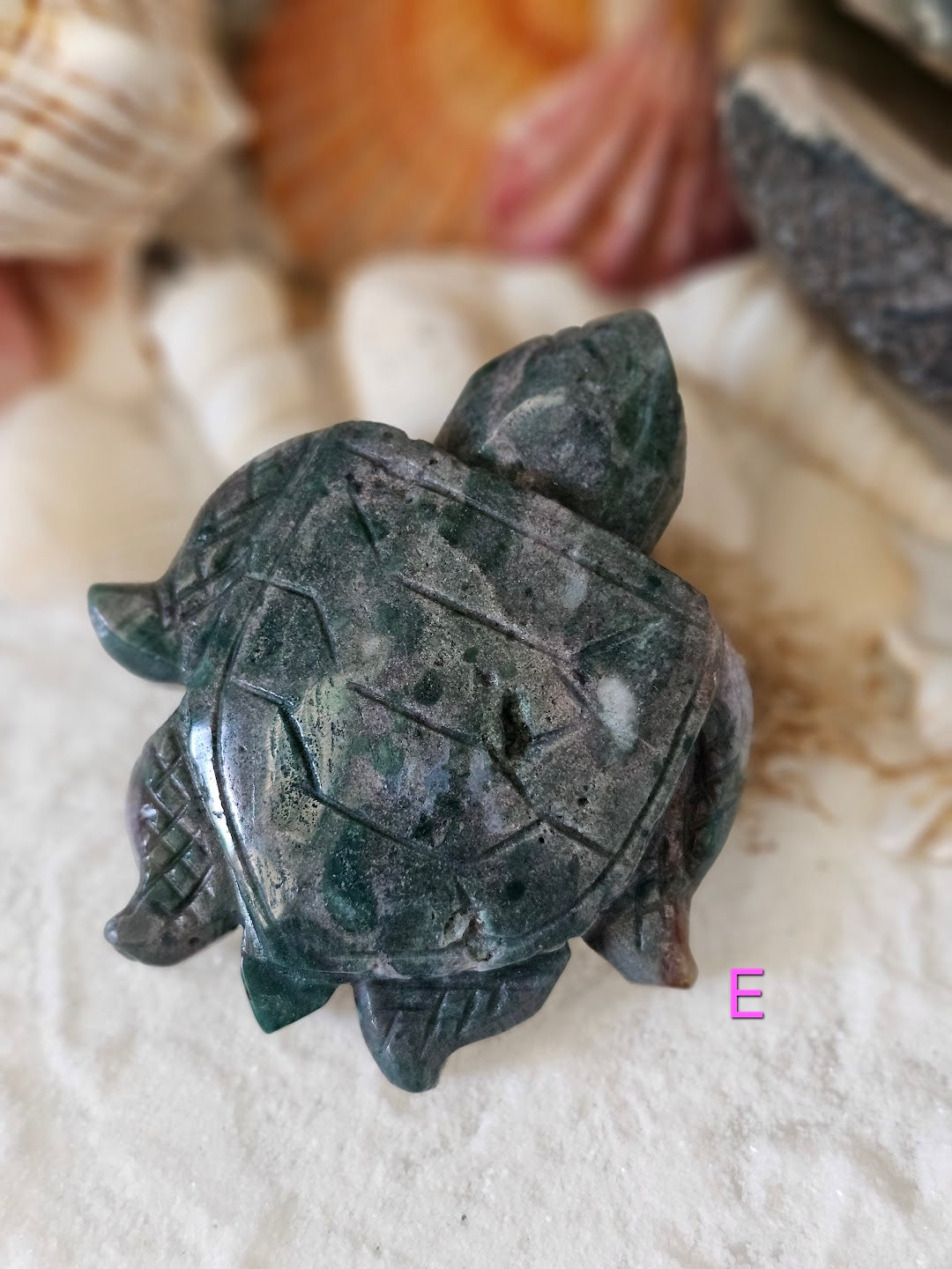 Sea Turtle Collection