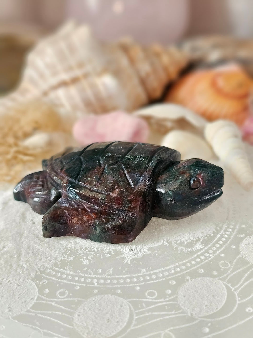 Sea Turtle Collection