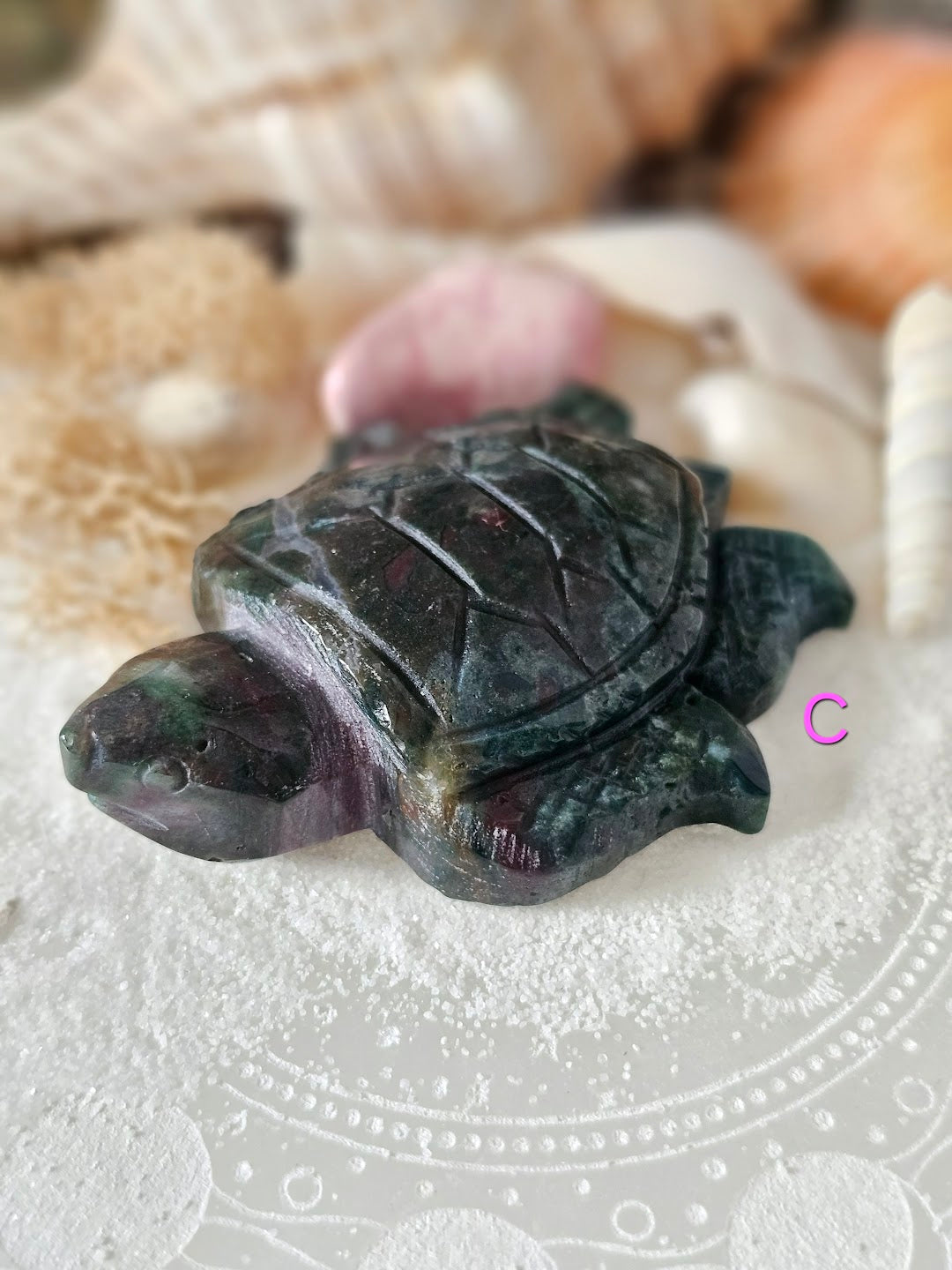 Sea Turtle Collection