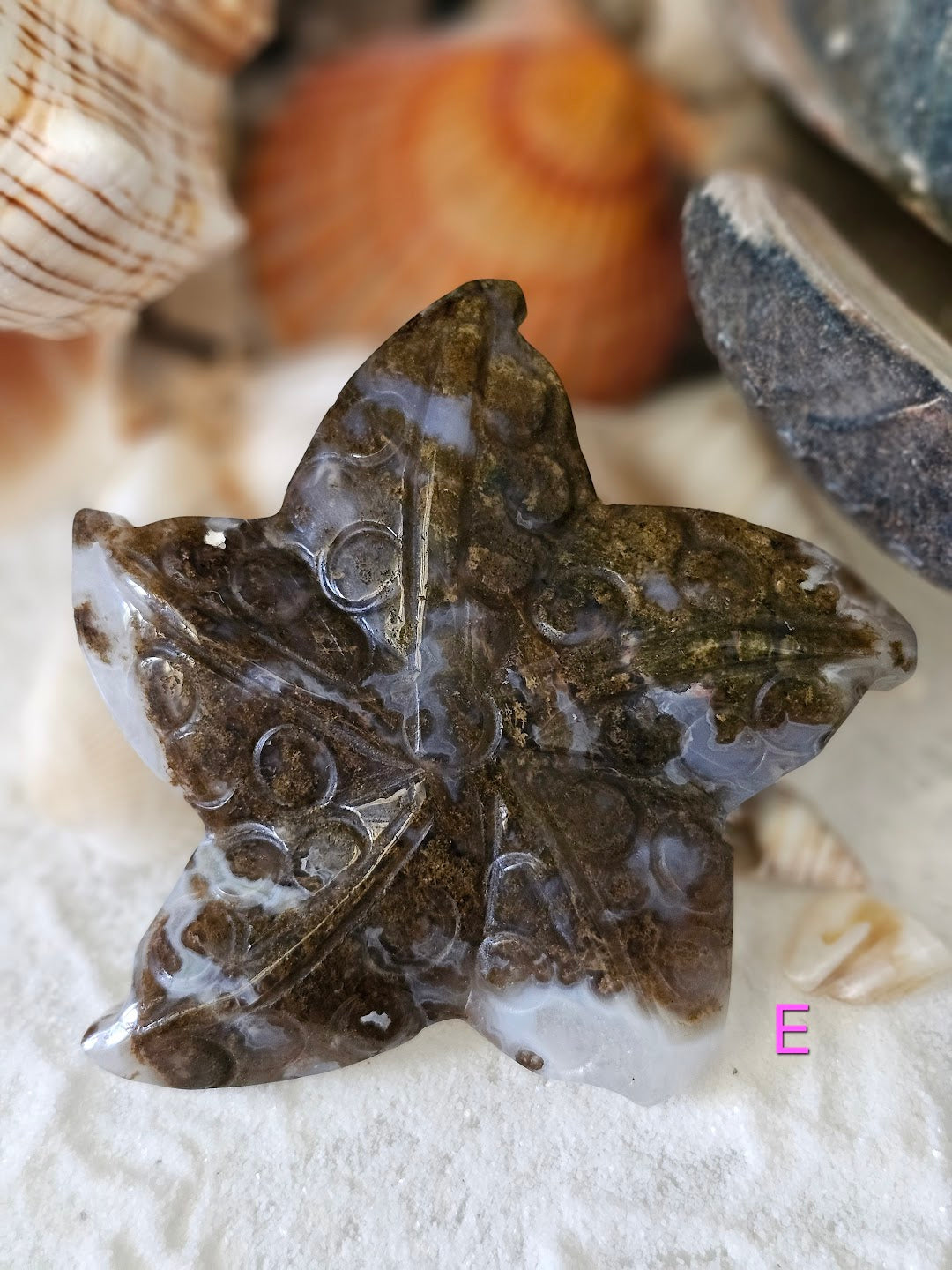 Sea Star Collection
