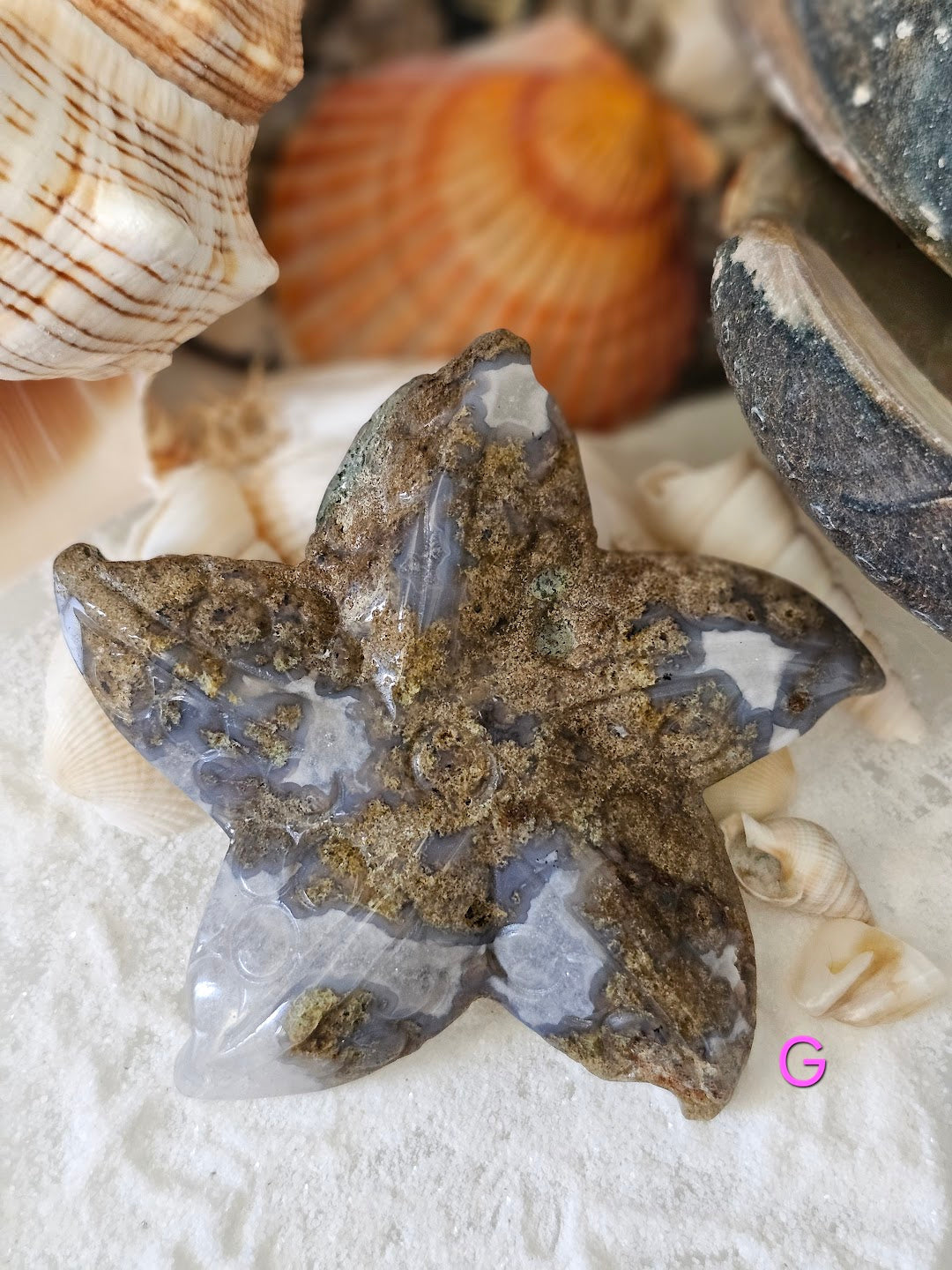Sea Star Collection