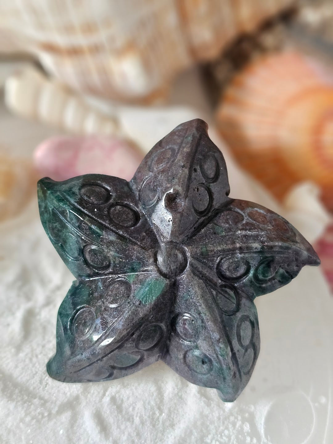 Sea Star Collection