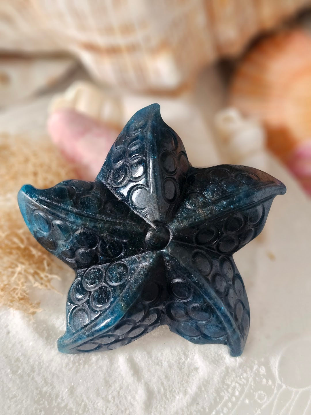 Sea Star Collection